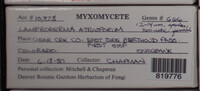 Image Associated With the Occurence